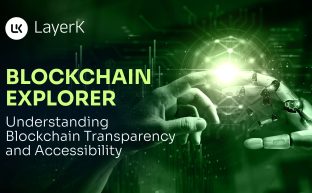 Blockchain Explorer